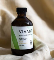 Vivant Kombucha - Kombucha Verveine Fleur d'oranger Bio x12
