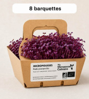 Ma Micropousse culinaire - Micro-pousses bio de radis pourpre – 8 barquettes