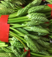 Trapon Champignons - Asperges Des Bois - 5 X 200 G