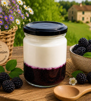 Gaec de l'Elanion - Fromage Blanc Confiture Mûres 130g