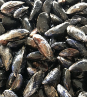 La Paysanne des Mers - Moules de Bouchot