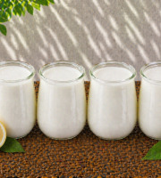 Ferme de l'Elanion - Yaourt Citron x4