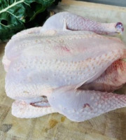 La Maison Pourthié - Chapon 5kg