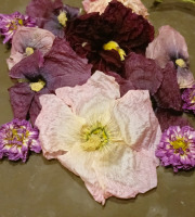 Rébecca les Jolies Fleurs - Fleurs séchées entières