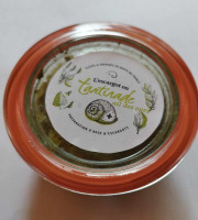 Maison du Nombre d'Or - L'escargot en tartinade AIL DES OURS 100g