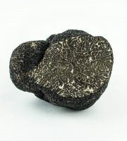 ALENA la Truffe d'Aquitaine - Truffe Noire Du Périgord Fraiche Tuber Melanosporum - 50g