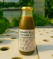 Nature et Saveurs - Ferme Aquaponique et Permacole Astérienne - Velouté de Cresson