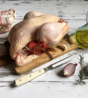 Les poulets de la Marquise - Coq à mijoter - 2700g