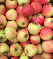 La Ferme des Prun'Elles - Pomme Jubilé