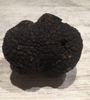Truffe et ses saveurs - Truffe Noire Du Périgord Fraîche - 60g