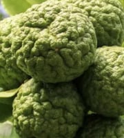 L'OLIVERAIE DU COUDON - Combava 1kg