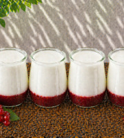 Ferme de l'Elanion - Yaourt Confiture Groseille x4