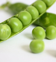 Adal Terra - Pâtes - Coquillages Bio Pois Cassés 500G