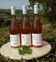 Domaine Doudeau-Leger - Sancerre Rosé AOC 2023 - 3 Bouteilles