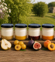 Gaec de l'Elanion - lot de 10 fromages blancs fruits verger