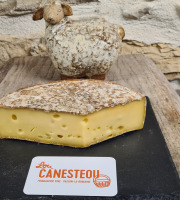 Lou Canesteou - Tome des Bauges 250g
