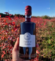 Myrtilles du Trimoulet - Liqueur de Myrtille - 37.5 cL
