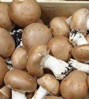 La Carrière du Bienheureux - Champignons de Paris Bio - 250g