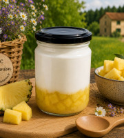 Gaec de l'Elanion - Fromage Blanc Confiture Ananas 130g