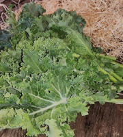 Les Jardins de Gérard - Chou Kale vert Bio - 500 g