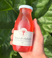 Maison Vermes - Producteurs de Rhubarbes - Lot de 20 bouteilles de Nectar de rhubarbe en 25cl