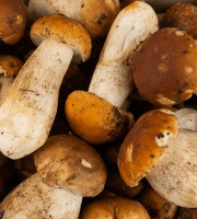 L’Oliveraie du Coudon - CEPES FRAIS SAUVAGE 3KG  ## ATTENTION BIEN LIRE LA DESCRIPTION  ##