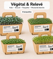 Ma Micropousse culinaire - Micro-pousses bio – Pack Végétal & Relevé – Kale, brocoli, roquette & moutarde – 4 barquettes
