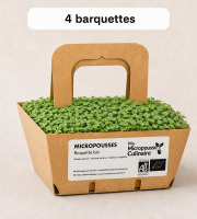Ma Micropousse culinaire - Micro-pousses bio de roquette - 4 barquettes