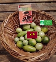 LES JARDINS DE KARINE - Tomates cerises vertes-1kg