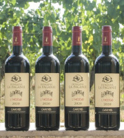 Domaine la Paganie - Vin rouge de Cahors élevé en fût – L’Origine 2020 – 6 bouteilles