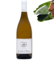 Réserve Privée - IGP Cotes de Gascogne - Domaine Chiroulet - La Côte d'Heux Blanc