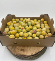 La Ferme des Prun'Elles - Mirabelles origine Lorraine -10 kg