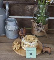 Boutique Boisette - Chèvre enrobé noix 150g