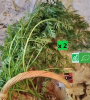 LES JARDINS DE KARINE - Feuilles de Carotte - 500g