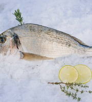 Côté Fish - Mon poisson direct pêcheurs - Daurades Royales 500g