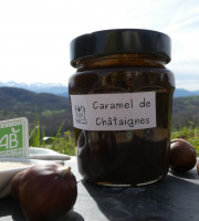 Terres EnVie - Caramel De Châtaigne Bio