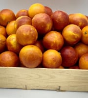 Le Panier du Producteur - Orange "sanguine"