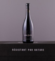 Domaine Sauvagine - Sauvagine Rouge 2024 x1 - Vin bio & cépages résistants