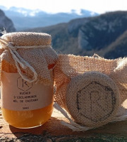 Rucher d'Esclarmonde - Miel de Castanh 500g