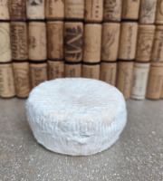 GAEC Petit Tonnerre - Camembuffle