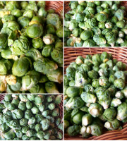 La Ferme de Milly - Anjou - CHOUX BRUXELLES -BIO