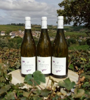 Domaine Doudeau-Leger - Sancerre Blanc AOC 2023 - 3 Bouteilles