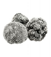 JMC TRUFFES - Brisure de truffe noire tuber melanosporum 200 g