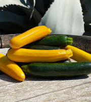 La Boite à Herbes - Courgettes Longues Panachés - 2kg
