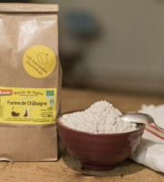 Ferme du Moulin de Nadal - Farine de Châtaigne Bio Demeter 400g