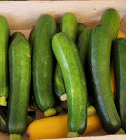 Le Pré de la Rivière - Courgettes vertes bio 2kg - Origine France