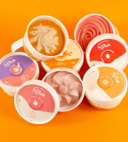 Sÿba - Glaces végétales - Box découverte