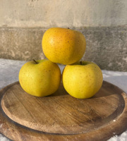 La Ferme des Prun'Elles - Pomme Chantecler/Belchard - 1 kg
