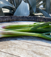 La Boite à Herbes - Botte D'aillet