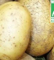 Mon Petit Producteur - Pomme De Terre GRENAILLE Bio BINTJE Polyvalente 2.5kg
